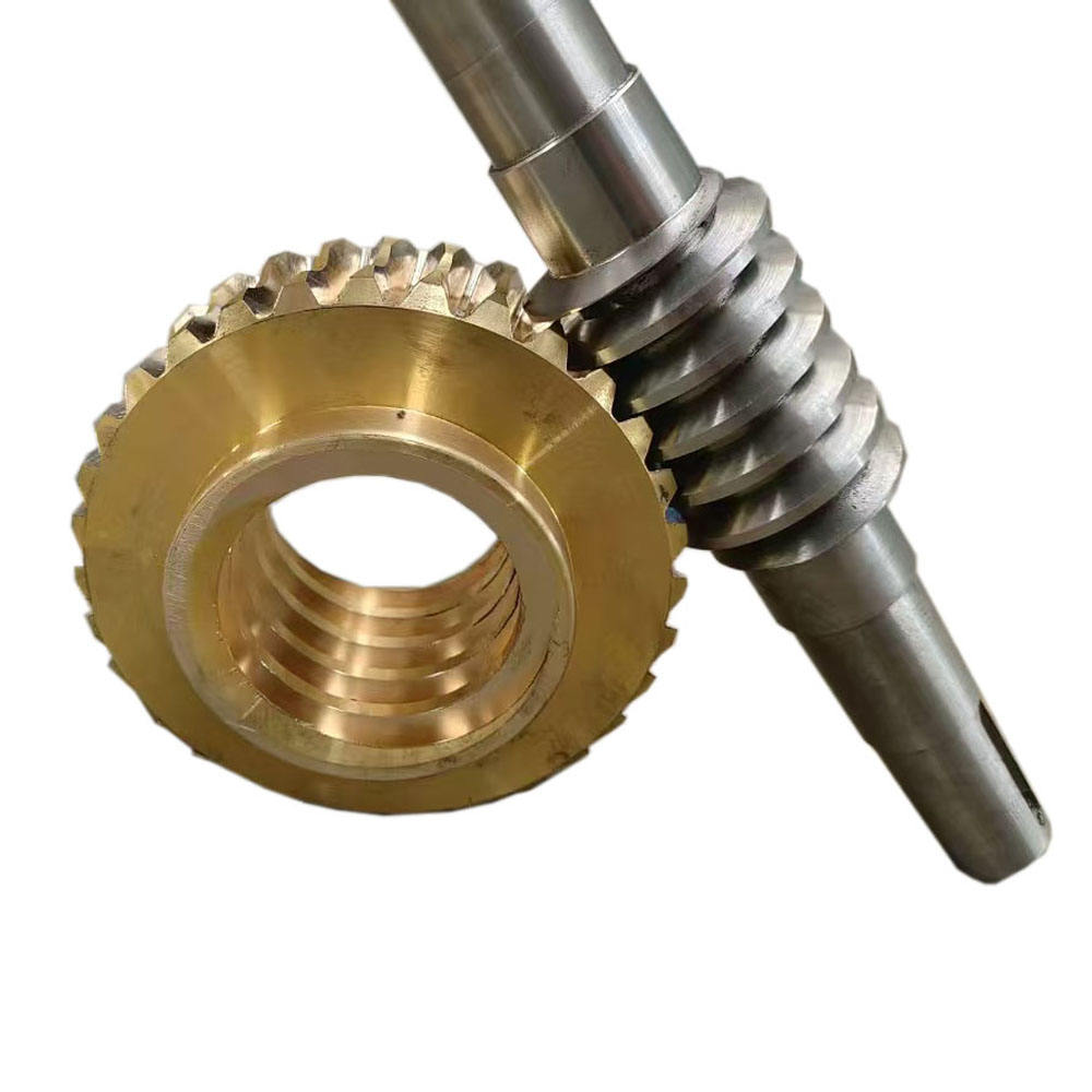 High Precision Customized CNC Machining Stainless Steel Worm Gear Set Gear Wheel Parts