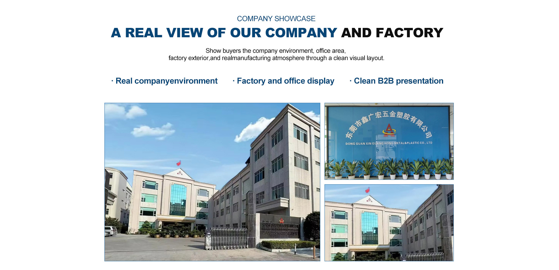 Company Showcase - A Real View of Our Company and Factory